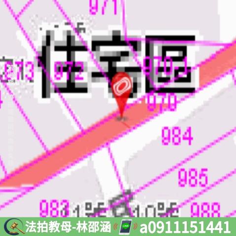 屏東枋寮法拍透天-8