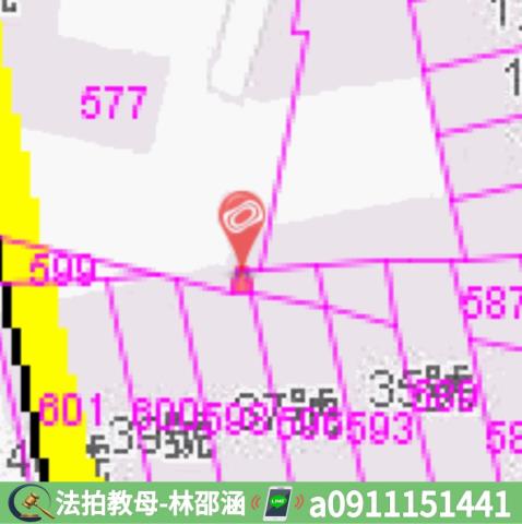 林園拍賣透天-7