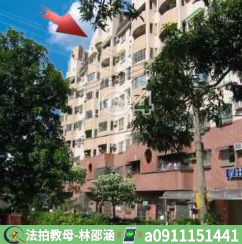 高雄大樹法拍大樓-6