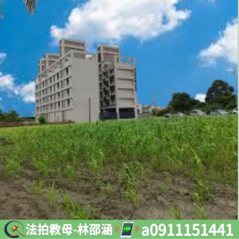 岡山大樓法拍-3